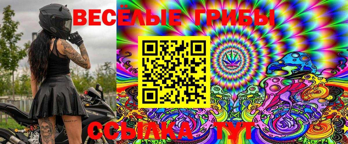 Волгодонск  Псилоцибиновые грибы Psilocybine cubensis  Вход с VPN 